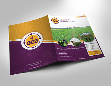 Presentation Folders Printing